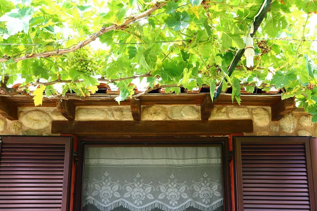 Villa Agapitos Sithonia 0*,